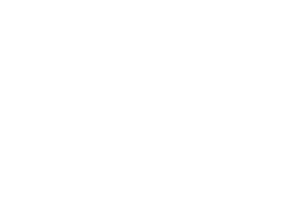 PDI logo