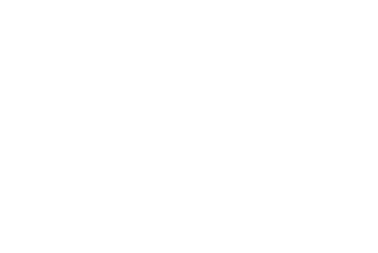 PDI logo