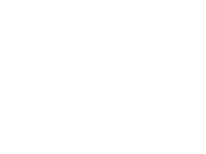 PwC logo