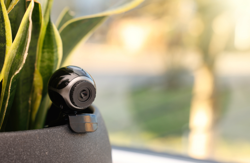 Shoulder surfing or spying on your devices through hidden cameras or binoculars can also cause great damage to the company security.