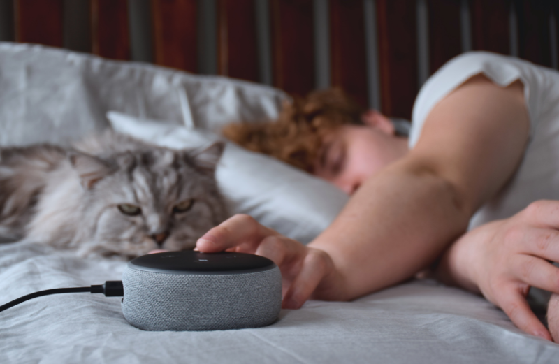 Muž a mačka spia vedľa smart asistentky Alexa. Od minulého roka sa všetky hlasové dáta štandardne odosielajú do cloudu Amazonu.